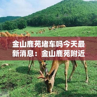 欣喜若狂 第2页