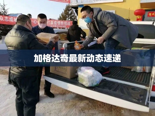 加格达奇最新动态速递