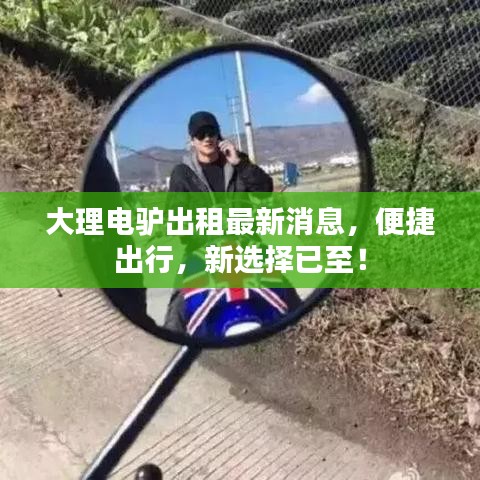 大理电驴出租最新消息，便捷出行，新选择已至！