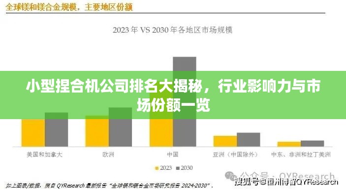 小型捏合机公司排名大揭秘，行业影响力与市场份额一览