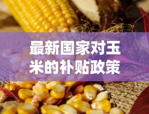 最新国家对玉米的补贴政策：玉米政府补贴 