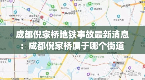 丢三落四 第2页