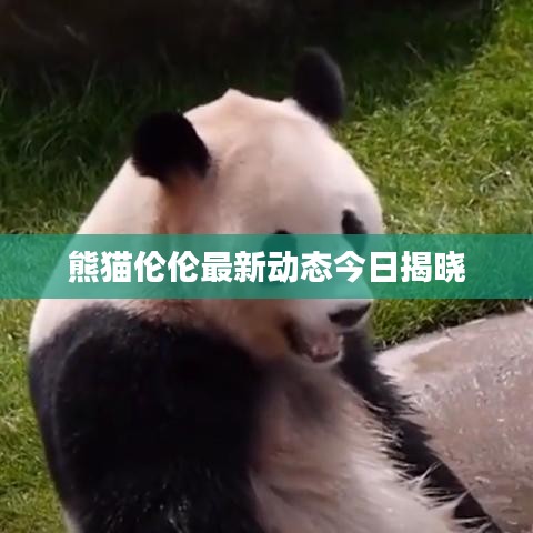 鸢飞戾天 第2页