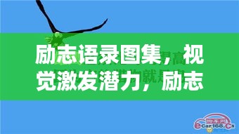 励志语录图集，视觉激发潜力，励志助力前行