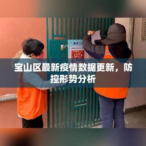 宝山区最新疫情数据更新，防控形势分析