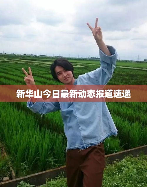 新华山今日最新动态报道速递