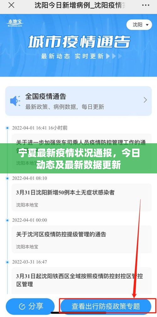 宁夏最新疫情状况通报，今日动态及最新数据更新