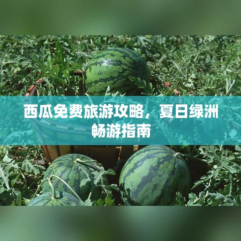 飞珠迸玉 第2页