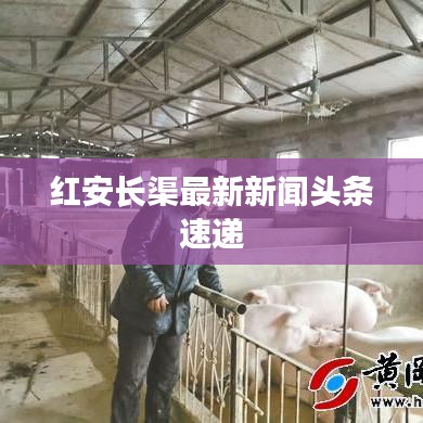 红安长渠最新新闻头条速递