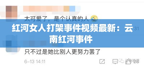 红河女人打架事件视频最新：云南红河事件 