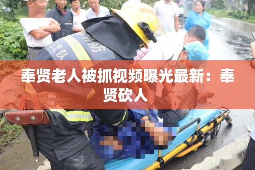 奉贤老人被抓视频曝光最新：奉贤砍人 