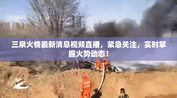 三泉火情最新消息视频直播，紧急关注，实时掌握火势动态！