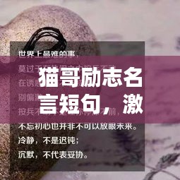 猫哥励志名言短句，激发无限潜能！