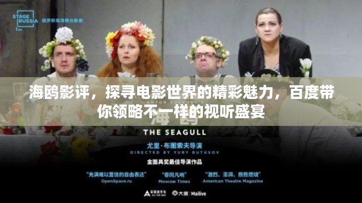 海鸥影评，探寻电影世界的精彩魅力，百度带你领略不一样的视听盛宴