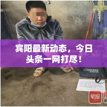 宾阳最新动态，今日头条一网打尽！
