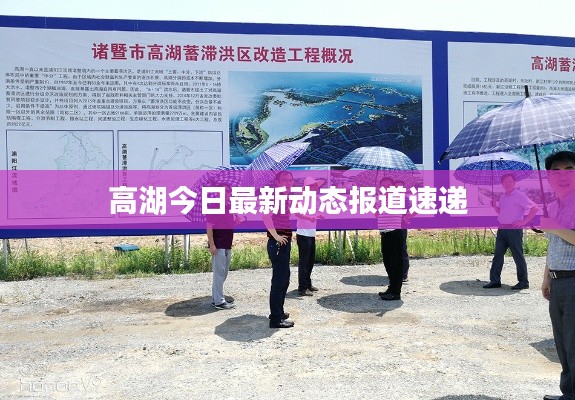 高湖今日最新动态报道速递