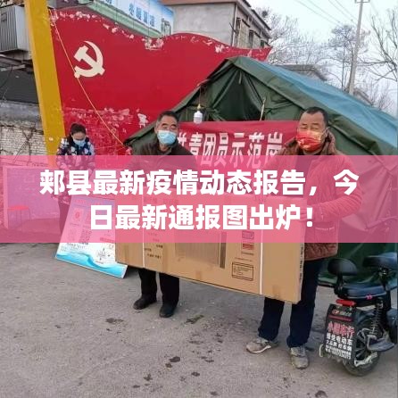 郏县最新疫情动态报告，今日最新通报图出炉！
