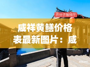 咸祥黄鳝价格表最新图片：咸祥古镇游玩攻略 