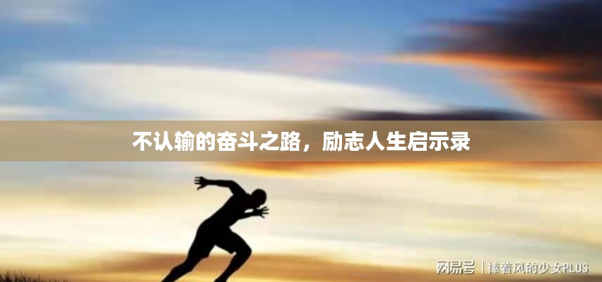 不认输的奋斗之路，励志人生启示录