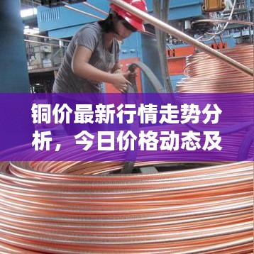 铜价最新行情走势分析，今日价格动态及影响因素解析