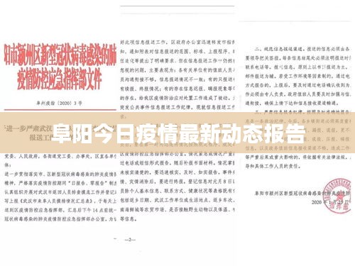 阜阳今日疫情最新动态报告