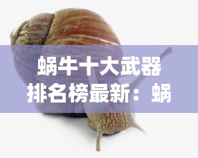 蜗牛十大武器排名榜最新：蜗牛形态 最强蜗牛 