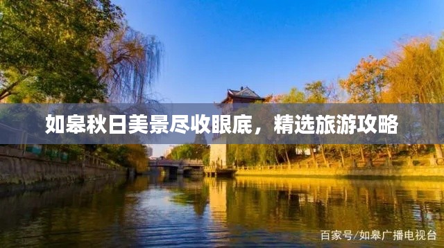 母以子贵 第2页