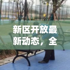 新区开放最新动态，全面解读今日开放情况