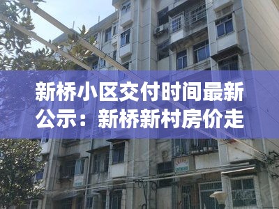 新桥小区交付时间最新公示：新桥新村房价走势 