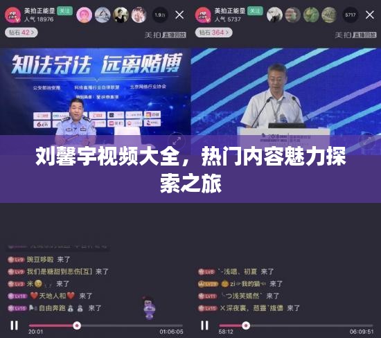 刘馨宇视频大全，热门内容魅力探索之旅