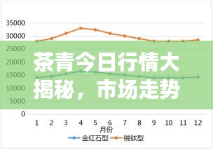 茶青今日行情大揭秘，市场走势深度解读