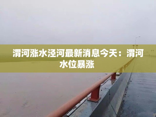 一枝独秀 第3页