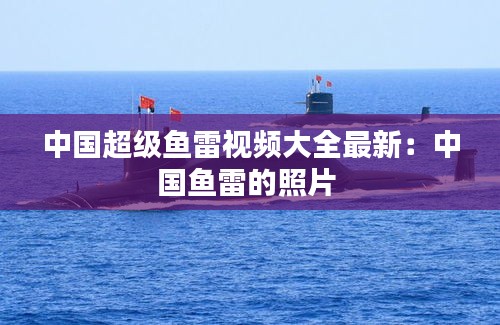 中国超级鱼雷视频大全最新：中国鱼雷的照片 