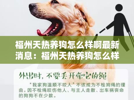 福州天热养狗怎么样啊最新消息：福州天热养狗怎么样啊最新消息图片 