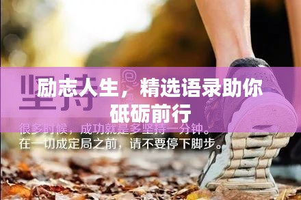 励志人生，精选语录助你砥砺前行