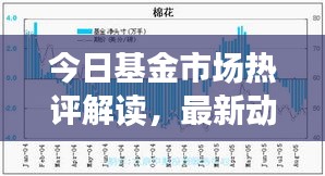 今日基金市场热评解读，最新动态一网打尽