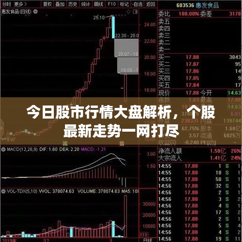 今日股市行情大盘解析，个股最新走势一网打尽