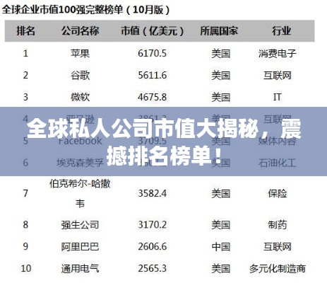 全球私人公司市值大揭秘，震撼排名榜单！