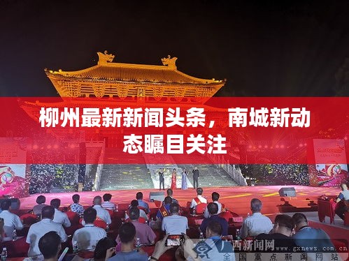 望其项背 第2页