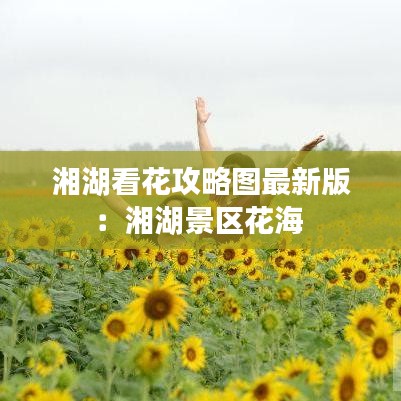 湘湖看花攻略图最新版：湘湖景区花海 