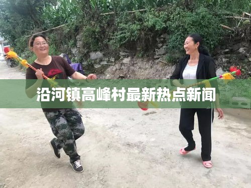 沿河镇高峰村最新热点新闻