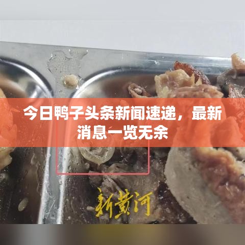 今日鸭子头条新闻速递，最新消息一览无余