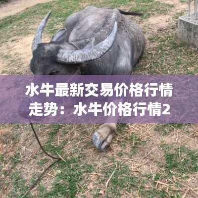 水牛最新交易价格行情走势：水牛价格行情2021年 