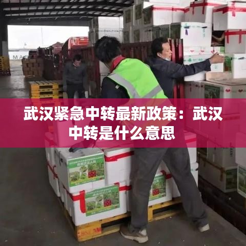 武汉紧急中转最新政策：武汉中转是什么意思 