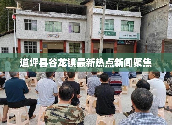 道坪县谷龙镇最新热点新闻聚焦