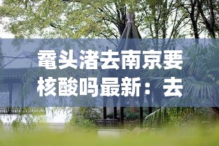 鼋头渚去南京要核酸吗最新：去鼋头渚要门票吗 