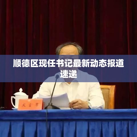顺德区现任书记最新动态报道速递