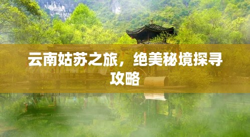 和为贵 第2页