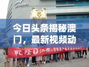 今日头条揭秘澳门，最新视频动态全掌握
