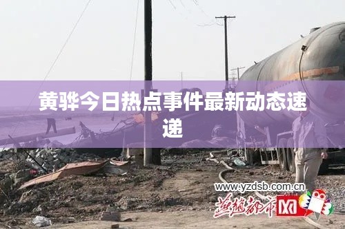 黄骅今日热点事件最新动态速递